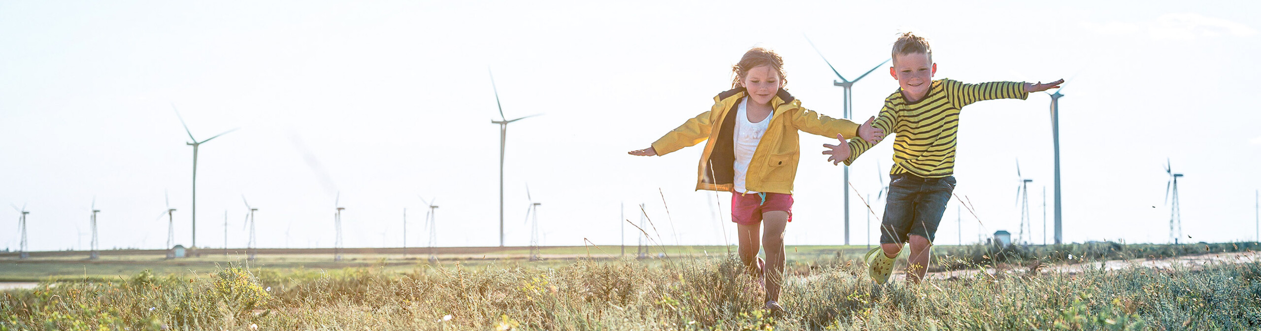 Header_Sieben_Sustainability_Linear-to-Circular