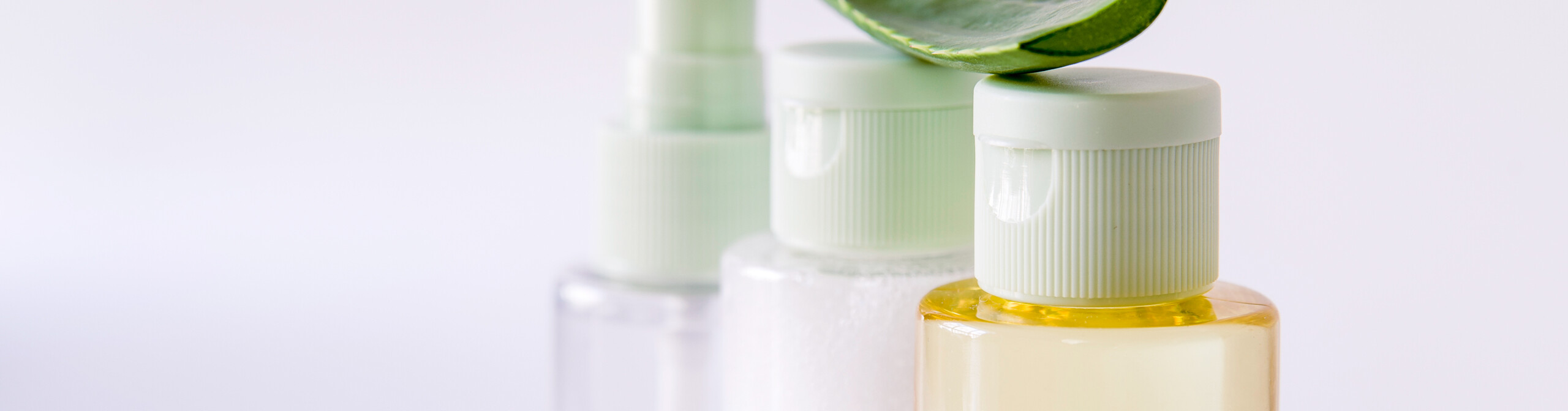 Header_Sieben_Sustainability